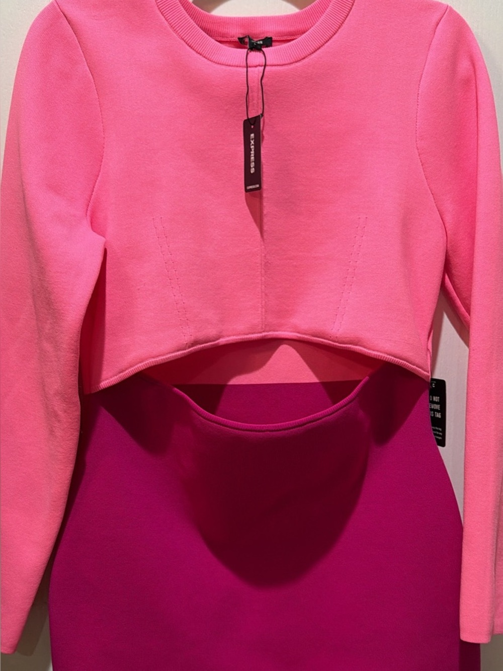 Express Two-Tone Pink Cutout dress Large